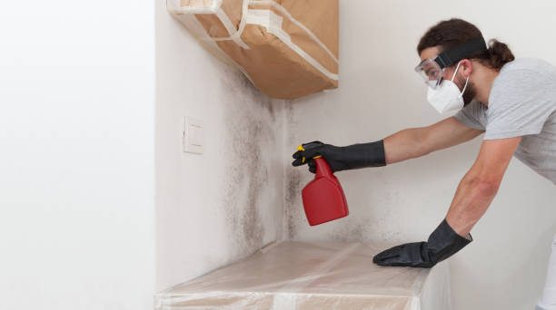 Attic Mold Remediation treatment on roof deck in Princeton